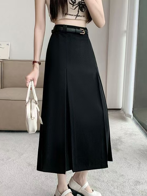 Plus Size Pakrok Hoge Taille E - A-Line Skirt Midi recensie en prijs
